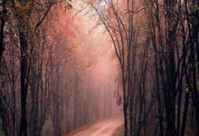 ➡️切尔西主帅筹备对战德国劲旅