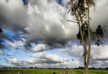 南安普顿球员爆料内幕，英超争冠形势扑朔迷离