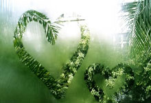 尤文图斯逆转制胜热那夜，晋级决赛获胜