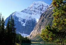 阿森纳坐镇主场，轻松击败对手