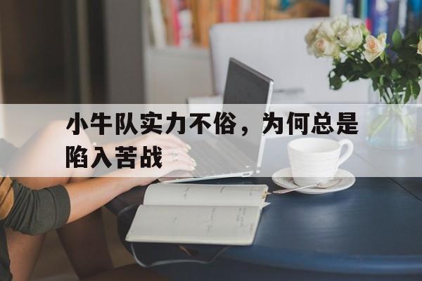小牛队实力不俗，为何总是陷入苦战