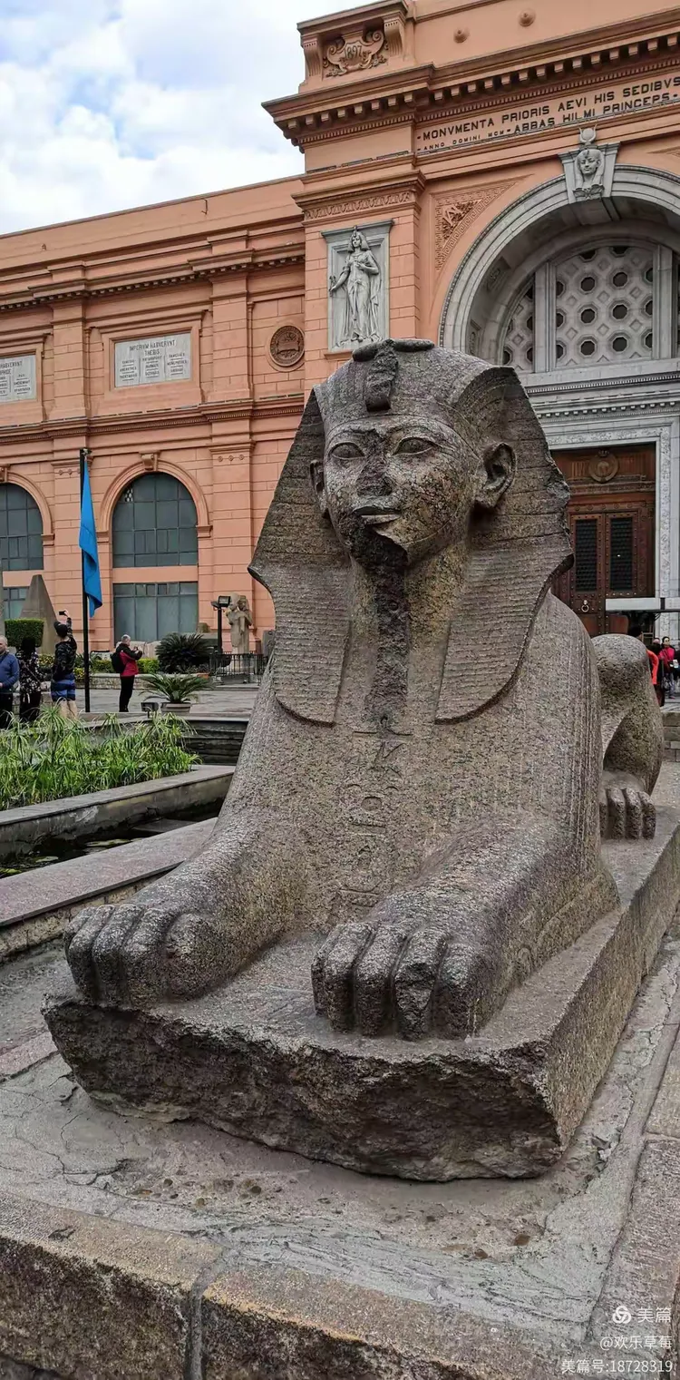 埃及游泳选手势如破竹，一路领先的简单介绍